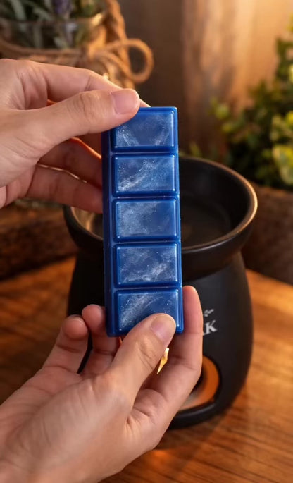 75g Wax Melts & 45g Snap Bars – Inspired by Men’s Fragrances